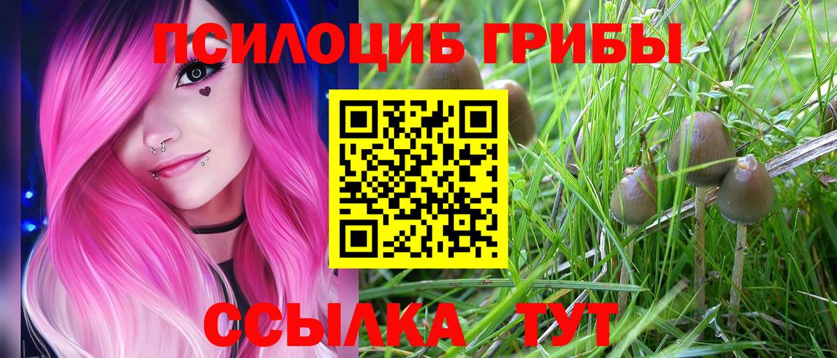 хочу наркоту  Галлюциногенные грибы мухоморы  Вход с VPN  Среднеуральск  Псилоцибиновые грибы Psilocybine cubensis 